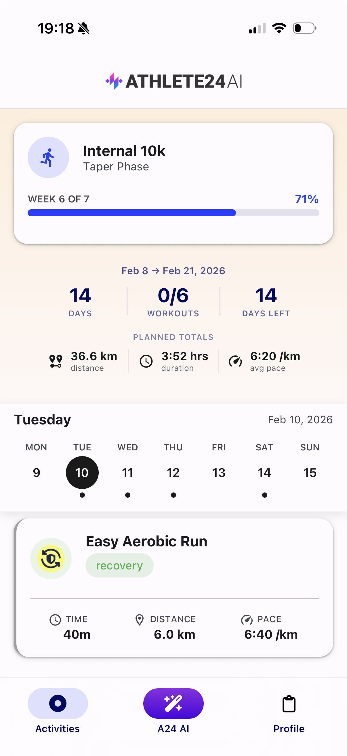 Training Plan Overview